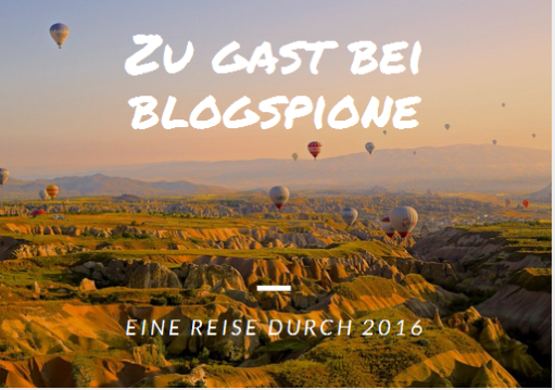 Zu Gast bei Blogspione - Eine Reise durch 2016 - Heißluftballons über Landschaft
